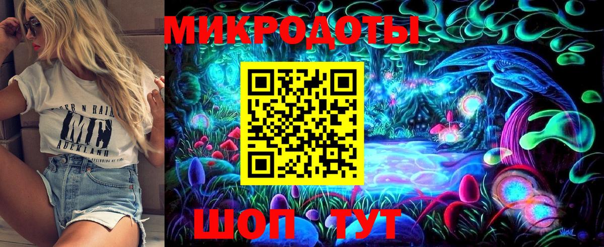 Галлюциногенные грибы Psilocybe Саратов